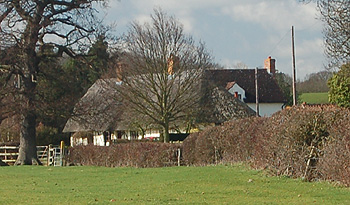 Ramsay Cottage March 2012